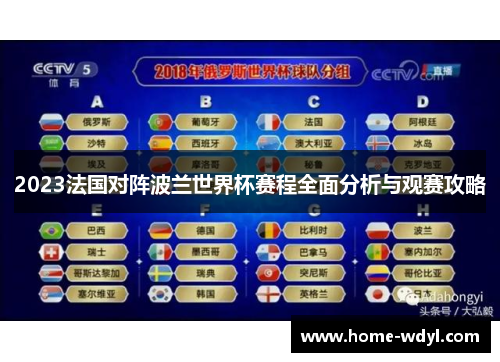 2023法国对阵波兰世界杯赛程全面分析与观赛攻略